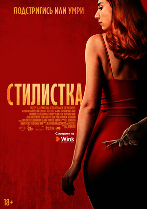постер к фильму Стилистка