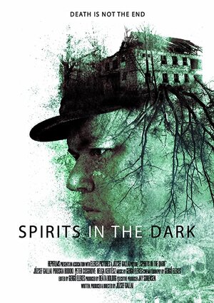 постер к фильму Spirits in the Dark