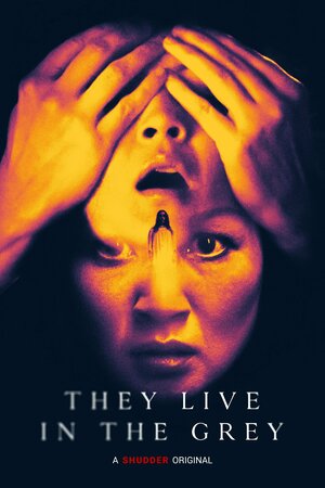 постер к фильму They Live in the Grey