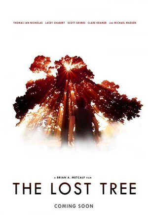 постер к фильму Потерянное дерево