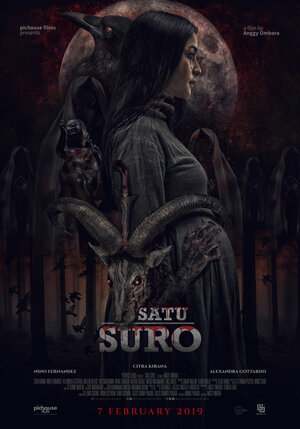 постер к фильму (Satu Suro)