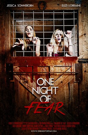 постер к фильму Одна ночь страха