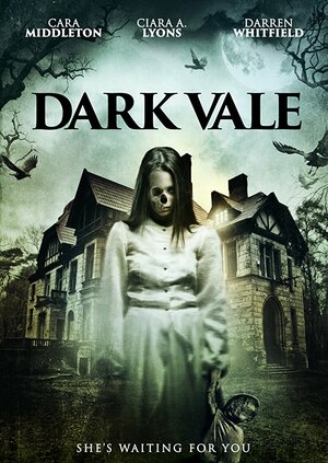постер к фильму Dark Vale
