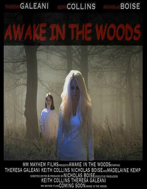 постер к фильму (Awake in the Woods)