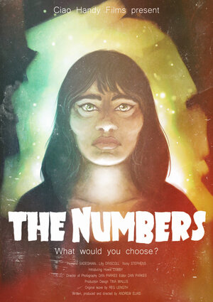 постер к фильму The Numbers