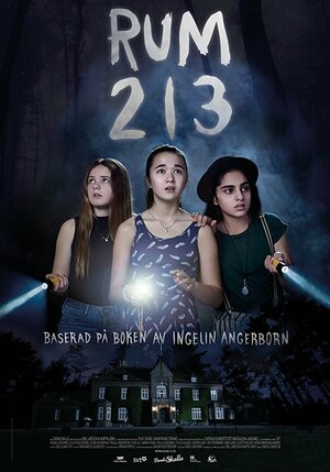 постер к фильму (Комната 213)
