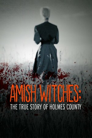 постер к фильму Амишские ведьмы: Правдивая история округа Холмс (ТВ, 2016)