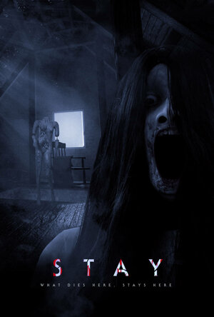 постер к фильму (Stay)