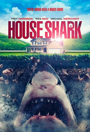 постер к фильму (Домашняя акула)