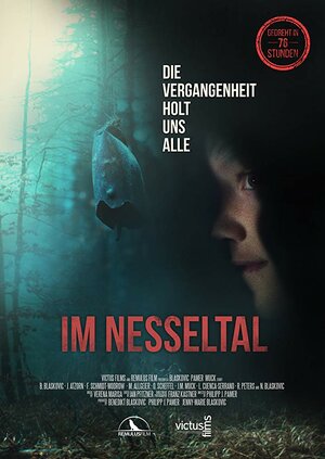 постер к фильму (Nesseltal)
