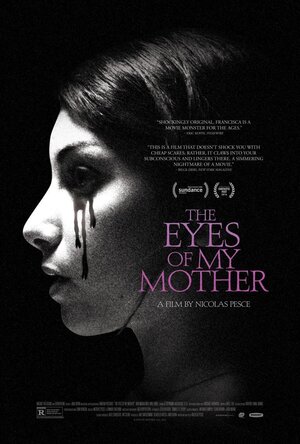постер к фильму Глаза моей матери