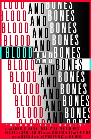 постер к фильму (Blood and Bones)
