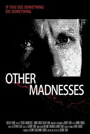 постер к фильму (Other Madnesses)